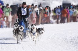 Lenk 2013